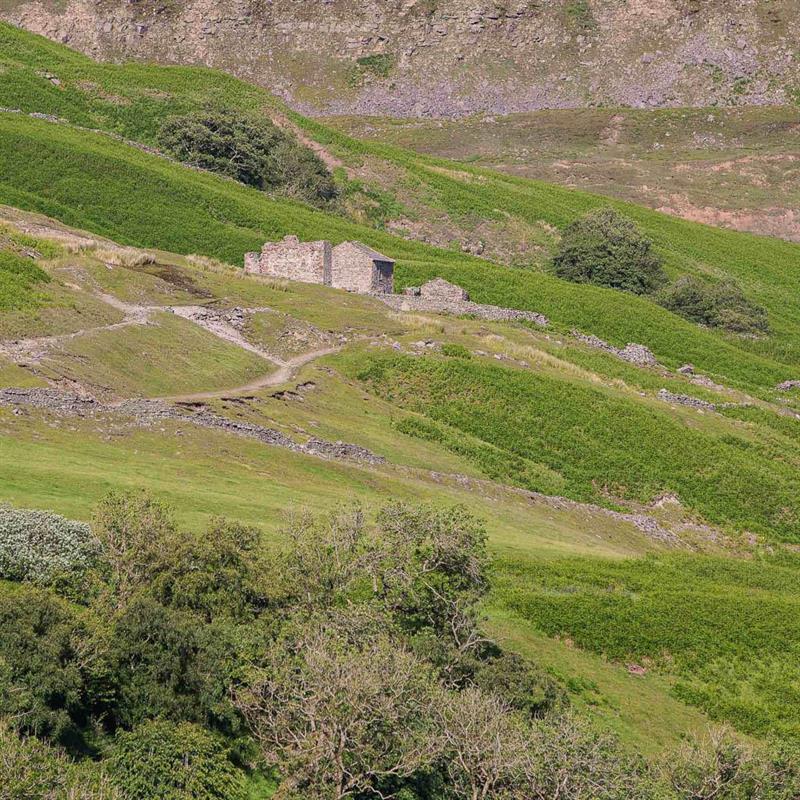 Guided Walk: Muker to Keld Circular